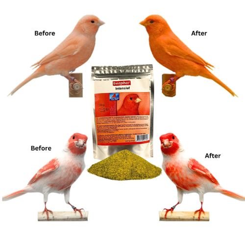 Bohena intensief adds brightness and color to red factor birds such as canaries, parakeets, goldfinches, cardinals, flamingos and others.