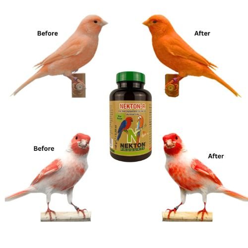 Nekton-R Intensify Red Bird Color, Excellent for red factor canaries.(150g)