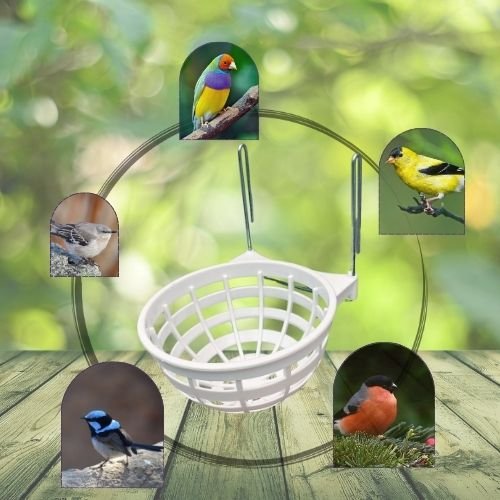 2GR Bird Nest with Iron Hooks - 2pc Plastic Nest for Parakeets, Finches, and Small Birds, Easy to Install Cage Accessory, Durable and Comfortable Nesting Solution for Indoor Use