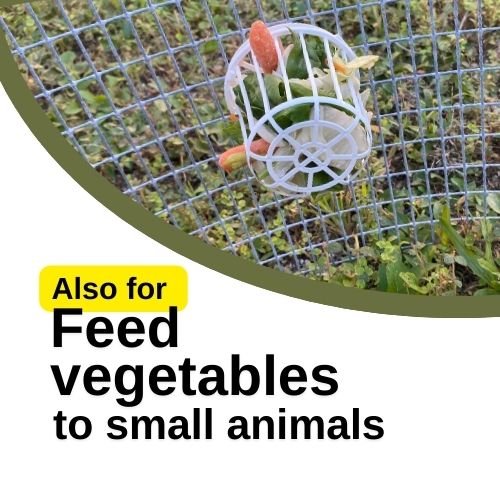 Plastic Nesting Material Holder for Birds, Nesting Material Dispenser for Bird Breeding and Aviary Use (10 pack )
