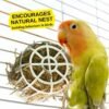 Plastic Nesting Material Holder for Birds, Nesting Material Dispenser for Bird Breeding and Aviary Use (10 pack )