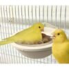 Plastic Nest with Hooks 4" for Canaries and Exotic birds.(2 pack)