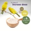 SilyPro 250g by Pineta Zootecnici – Liver Health Supplement for Birds with Milk Thistle Powder, Dietary Formula for Canaries and Parrots to Boost Immunity and Enhance Vitality