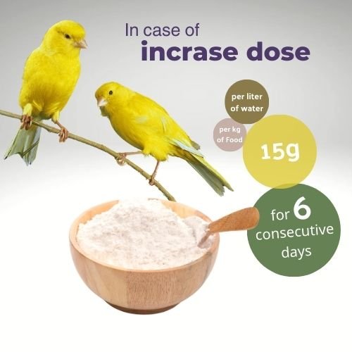 SilyPro 250g by Pineta Zootecnici – Liver Health Supplement for Birds with Milk Thistle Powder, Dietary Formula for Canaries and Parrots to Boost Immunity and Enhance Vitality