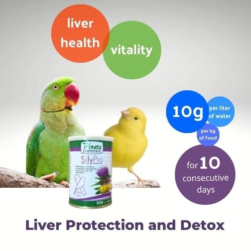 SilyPro 250g by Pineta Zootecnici – Liver Health Supplement for Birds with Milk Thistle Powder, Dietary Formula for Canaries and Parrots to Boost Immunity and Enhance Vitality