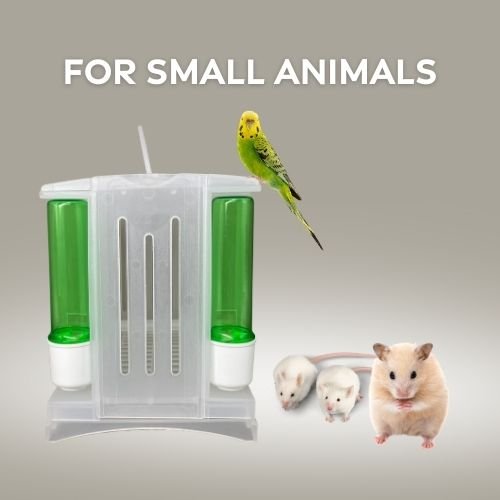 2GR Small Travel Cage for Birds, Hamsters, and Guinea Pigs, Durable Design, Ideal for Vet Visits, Short Trips, and Temporary Housing, Lightweight and Compact