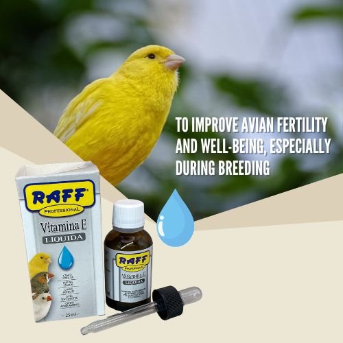 Raff Liquid Vitamin-E is a vitamin supplement for fertility.