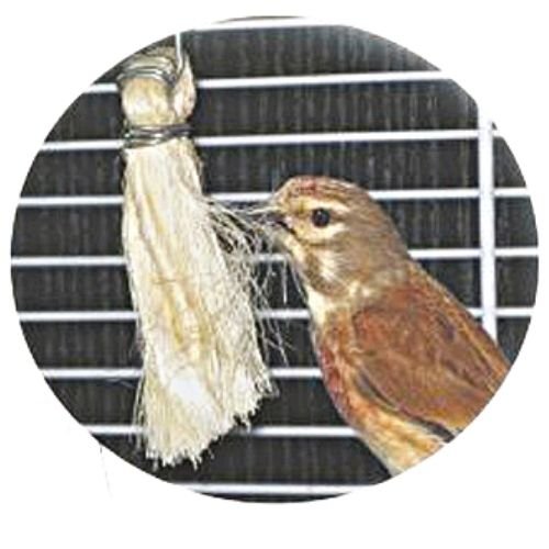 Antistress in Sisal.(pack of 10)