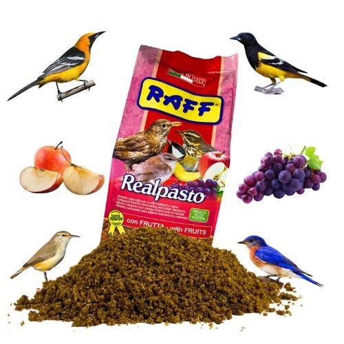 Realpasto with Fruits compound food for worm-eating and Indian Blackbirds (1Kg)