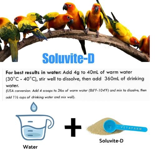 Soluvite D -12 essential vitamins + Booster vitamin D3