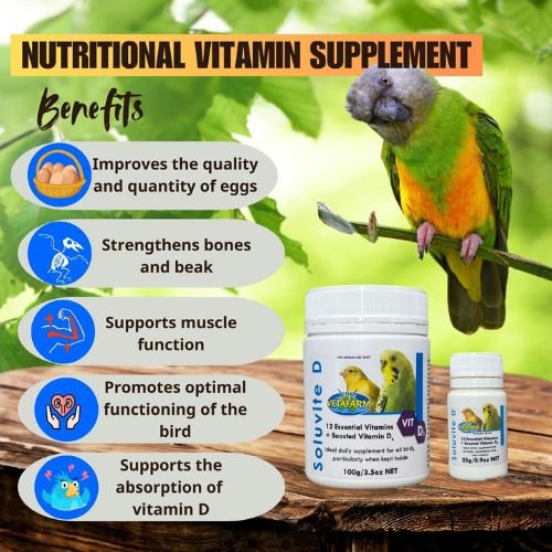 Soluvite D -12 essential vitamins + Booster vitamin D3