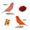 Pinny Premium Bird food pigmented complementary food and granivorous, red factor birds with biscuit and vegetables 350g