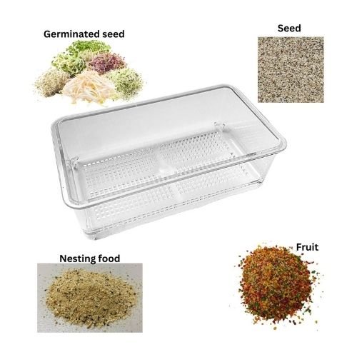 Idia Germinated Feeder 130g (2 pack)