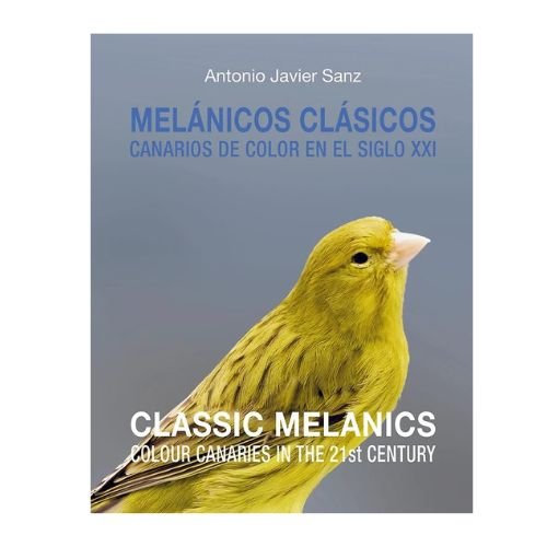 Classic Melanics colour canaries in  the 21st century