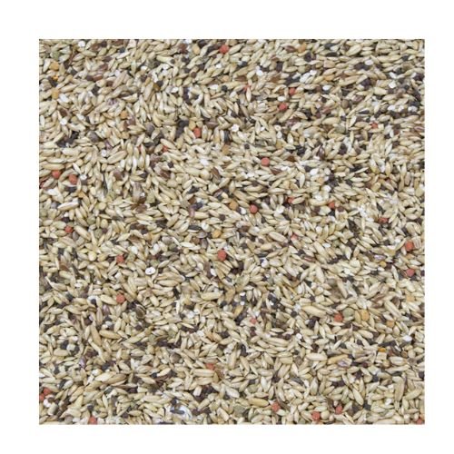 Vita Seed Canary natural with added vitamins & minerals 5Lbs