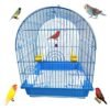 GLM Small bird Cage for exotic birds, canaries, parakeet,  finch and small parrot