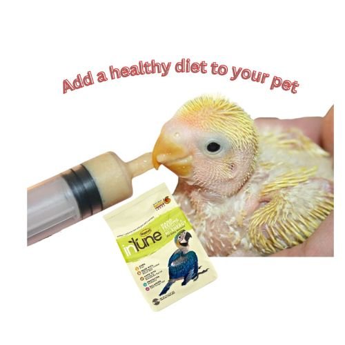 inTune Hand Feeding Formula Hi-Energy for baby Macaws