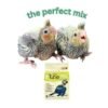 inTune Hand Feeding Formula Hi-Energy for baby Macaws