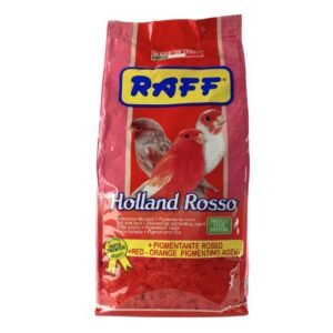 Holland Rosso by Raff -red factor in their plumage