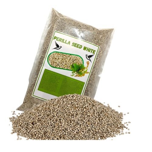 White Perilla seed high in fat and protein for all types of birds