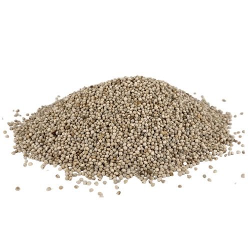 White Perilla seed high in fat and protein for all types of birds