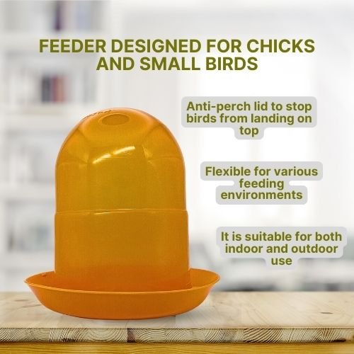 Gaun Automatic feeder for birds and small poultry with a capacity of 2 kg