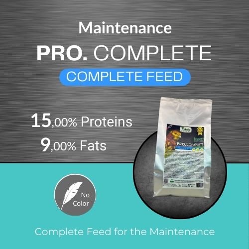 Pro Complete 5Lb by Pineta zootecnici – Complementary feed for birds, canary food, parakeet, finch and exotic birds, bird supplement, bird supply, bird seed