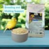 Pro Complete 5Lb by Pineta zootecnici – Complementary feed for birds, canary food, parakeet, finch and exotic birds, bird supplement, bird supply, bird seed